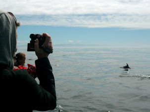 Whale Watching Monterey