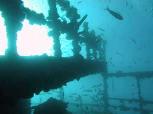 Rechtstipps f�r Schatztaucher