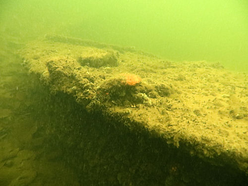 Wrack Gro�e Krampe