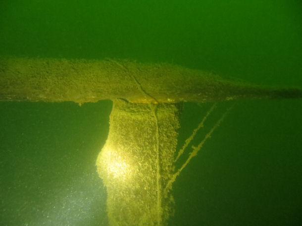 �senbalken im Liepnitzsee