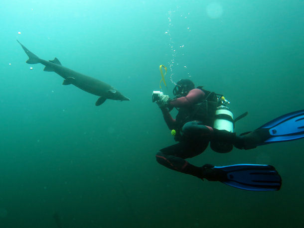 St�r in L�bej�n