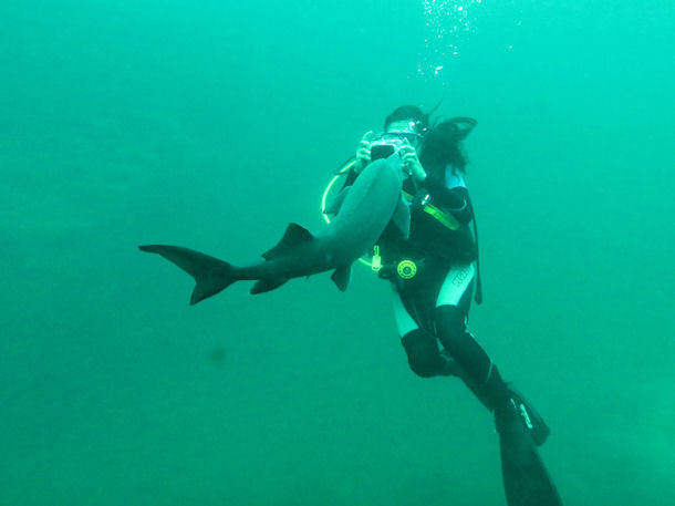 St�r in L�bej�n