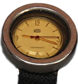 Geh�use mit Armbanduhr