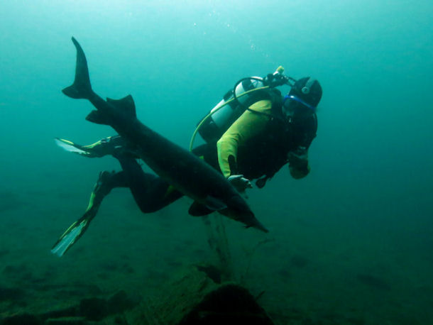 Steinbr�che von L�bej�n