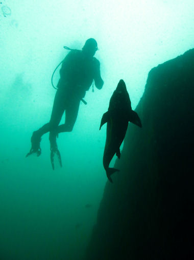 St�r in L�bej�n