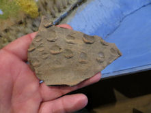 Slawische Keramikfunde vom Grund des Scherm�tzelsees