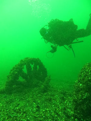 Pferdewagen im Werbellinsee