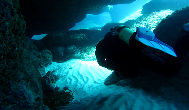 Kleiner K�se Mallorca