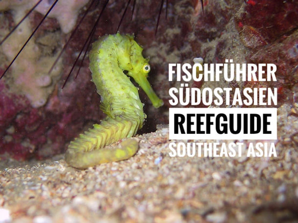 Fischf�hrer Vietnam